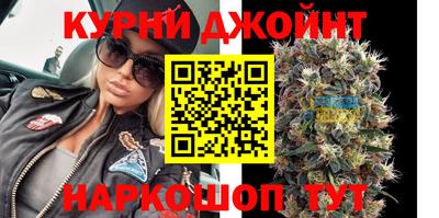 прущие крисы Будённовск