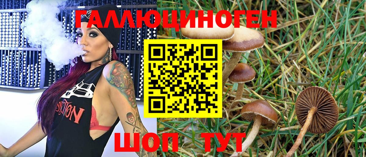 Сергиев Посад  Галлюциногенные грибы MAGIC MUSHROOMS  Галлюциногенные грибы Psilocybe  Вход с VPN 